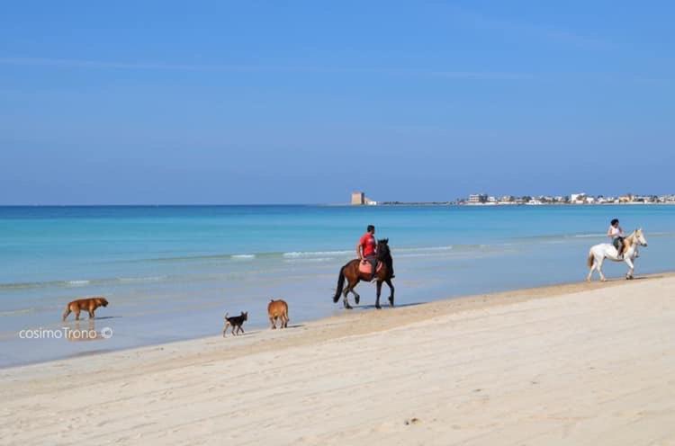 Appartamenti Torre Lapillo Εξωτερικό φωτογραφία
